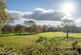 St. Johns Drive, Lichfield WS14 photo 3