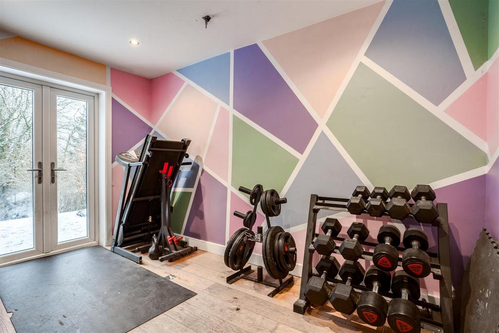 Play Room/Gym