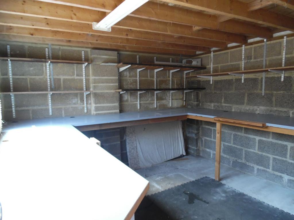 Picture 5