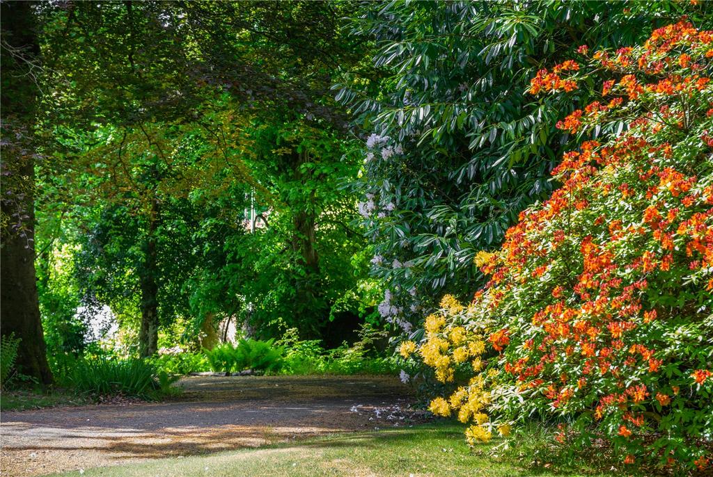 Driveway