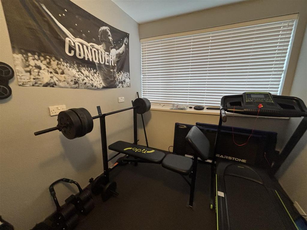 Gym.jpeg
