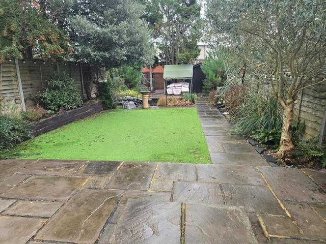 Garden.jpg