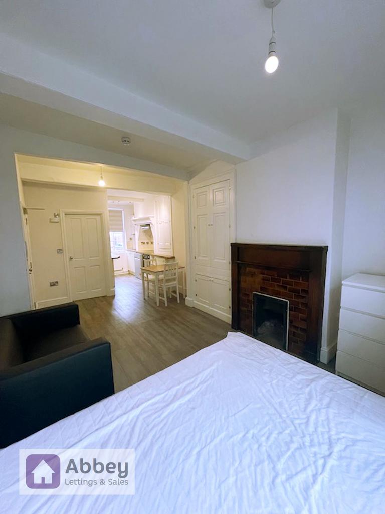 Living/Bedroom/Kitchen Areas