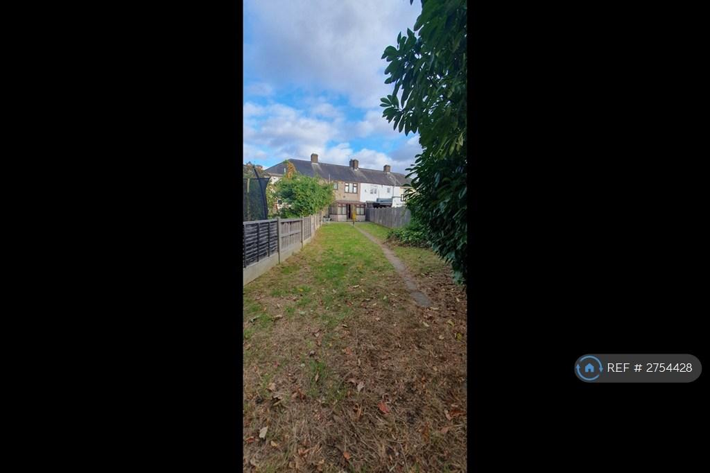 Back Garden