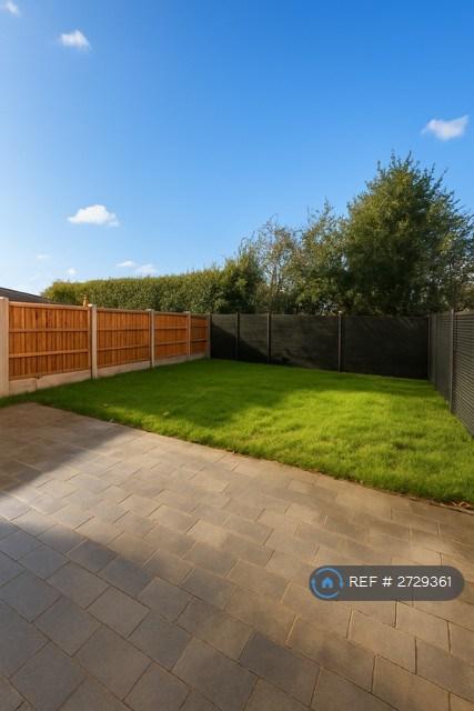 Back Garden
