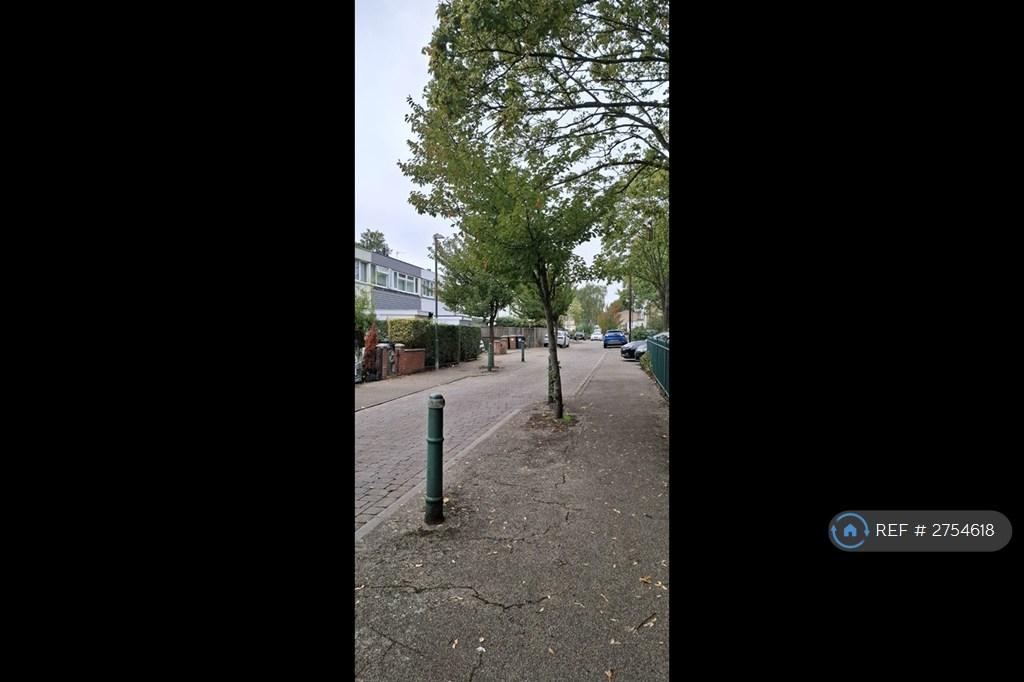 Surrounding Street