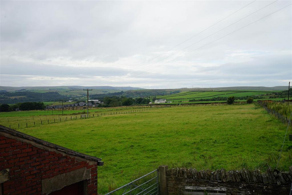 DSC07599a.jpg