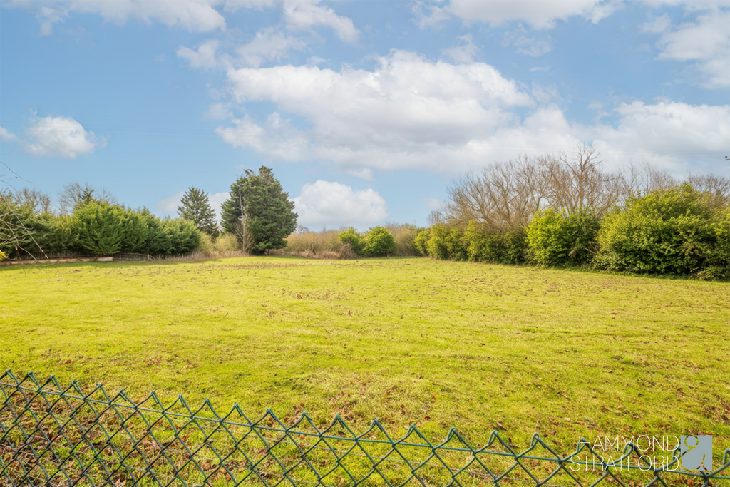 Meadow Views
