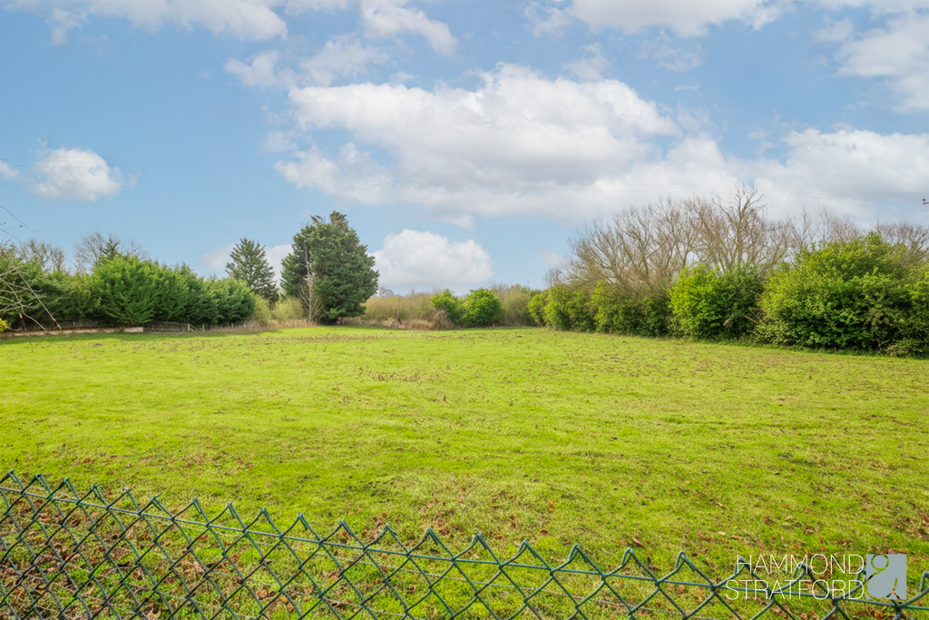 Meadow views
