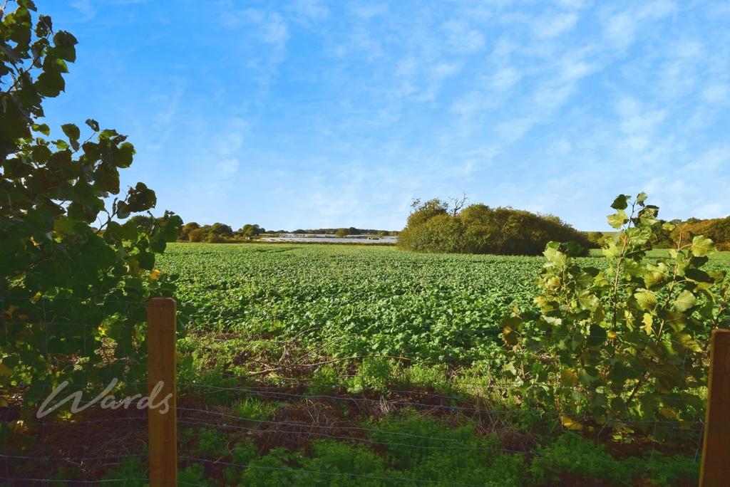Apple tree view