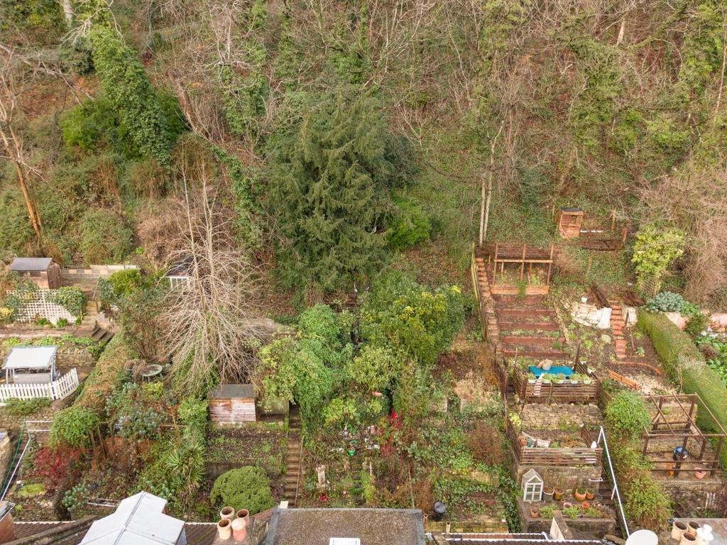 Rear Garden.jpg