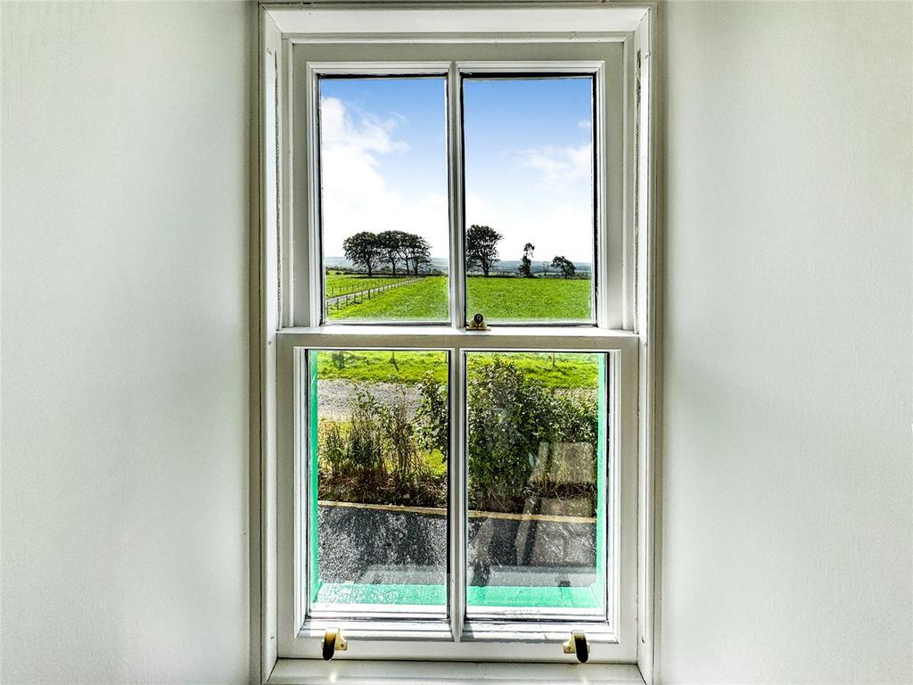 Window