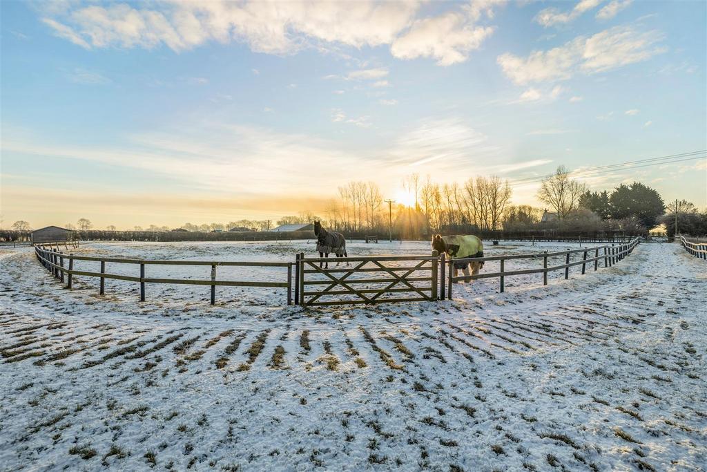 The Farm (Carrington)-44.jpg