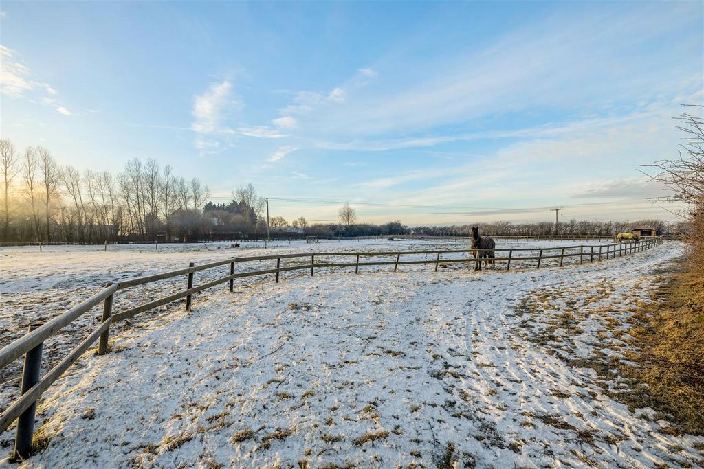 The Farm (Carrington)-45.jpg