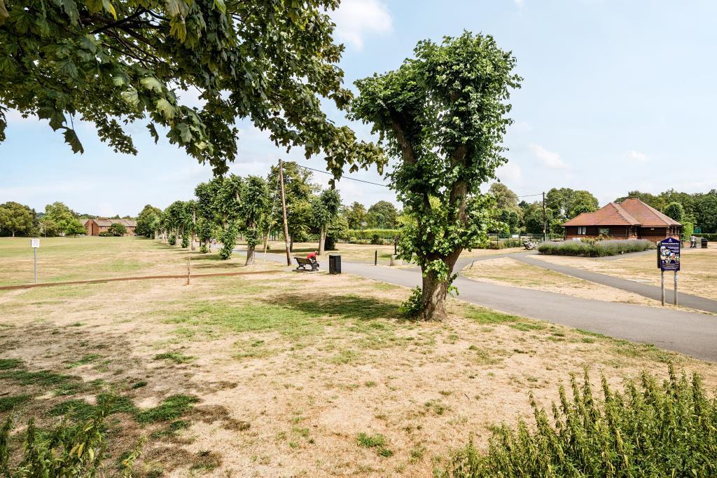 External