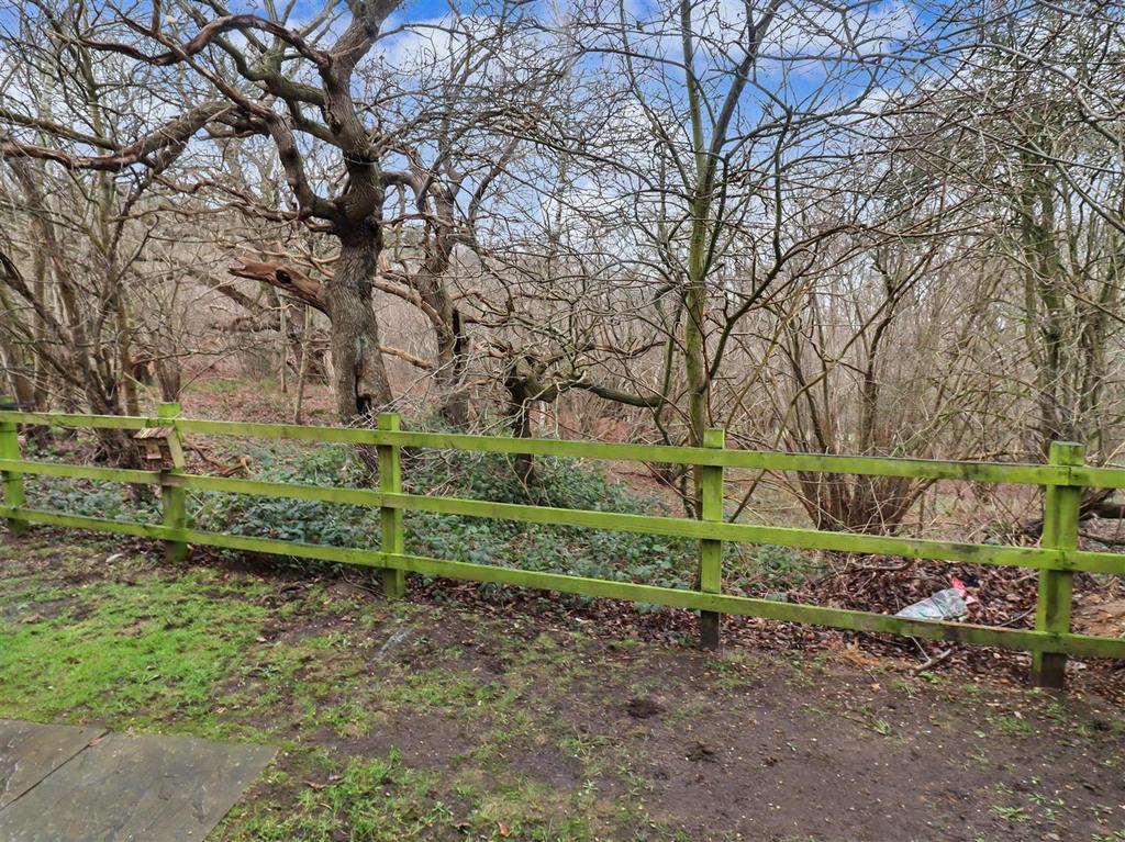 Woodland views