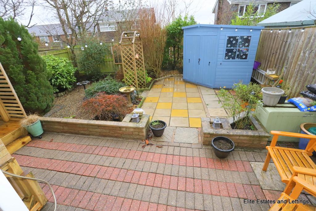12 img 1616