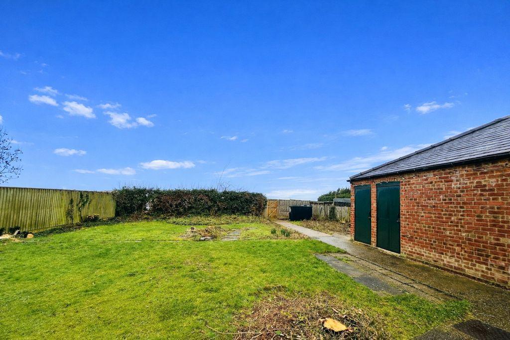 Back garden