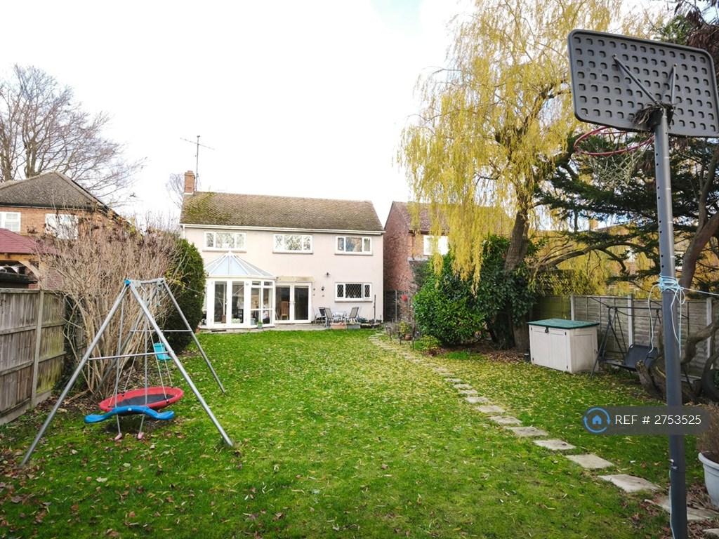 Back Garden