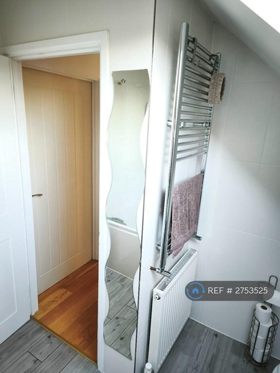 Bathroom (1st Floor)