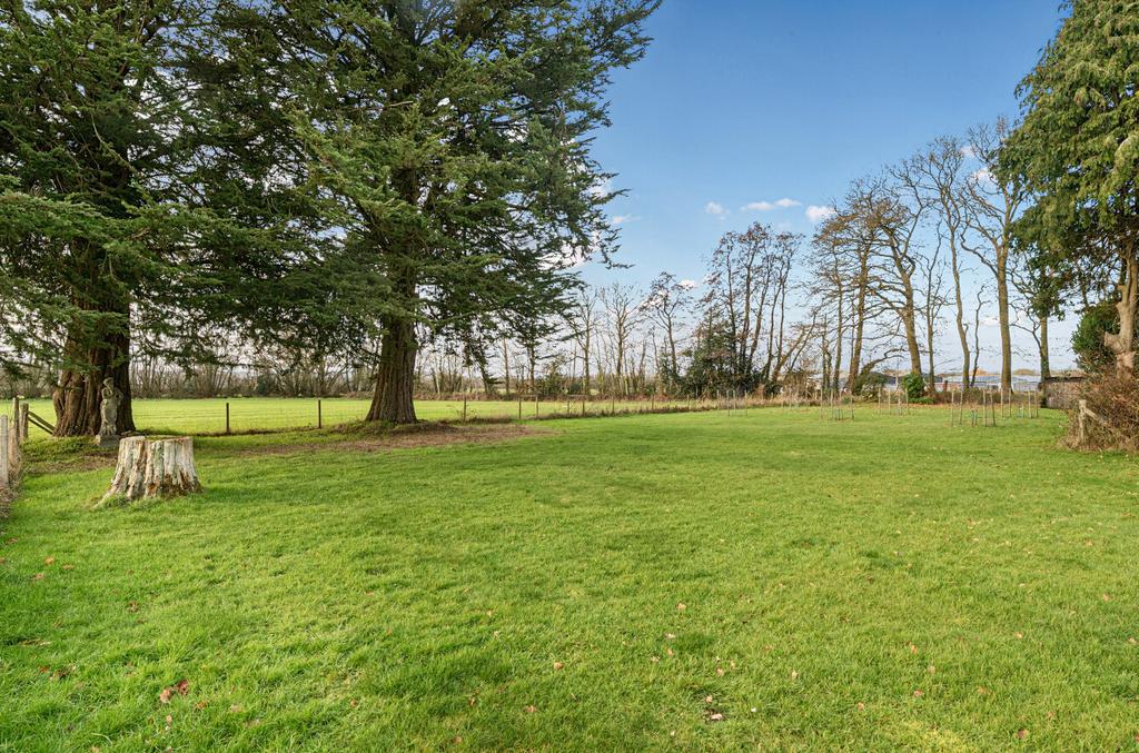 Garden/Orchard