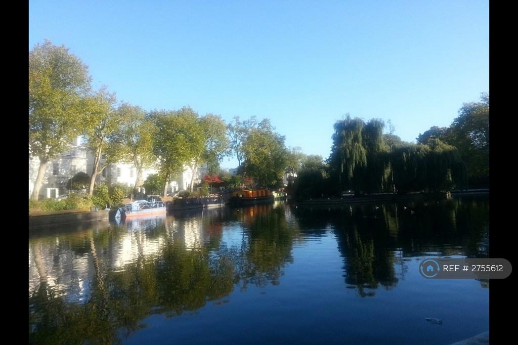 Little Venice Pond Across The Road