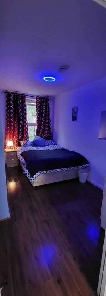 Hollybush-gardens-e2-9qt-1022860