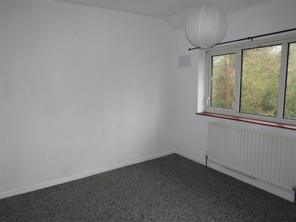 Img 1362.jpg