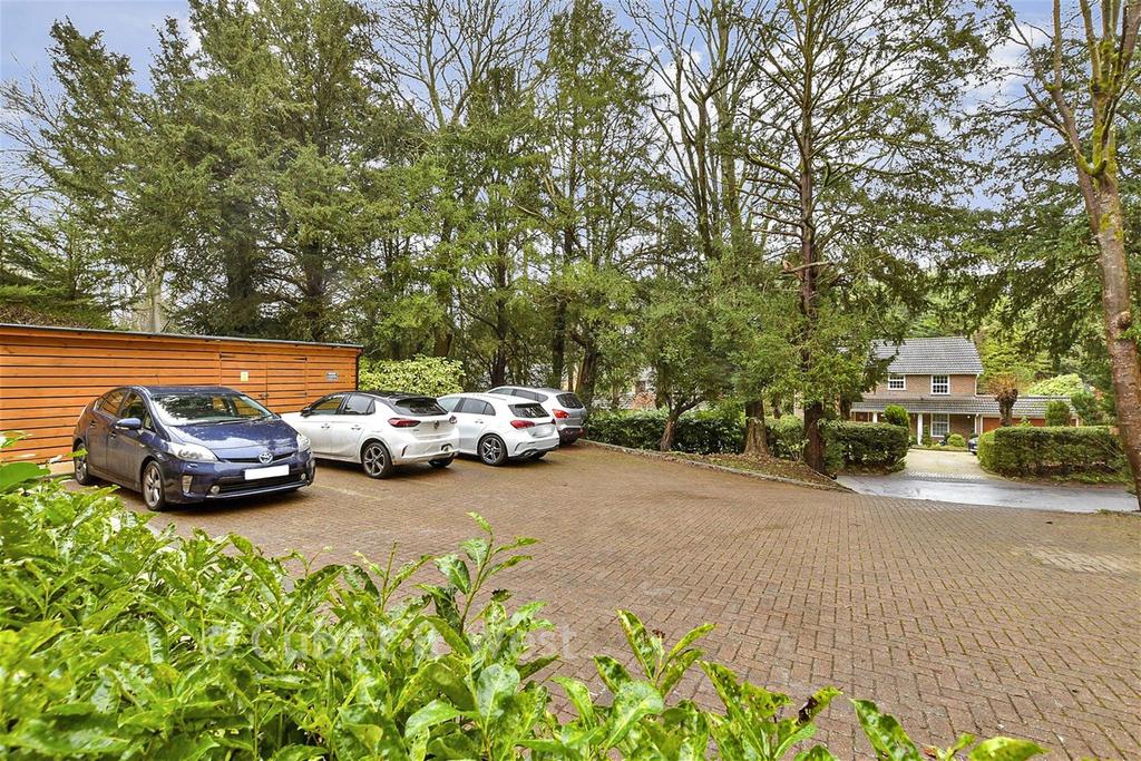 Driveway/Parking