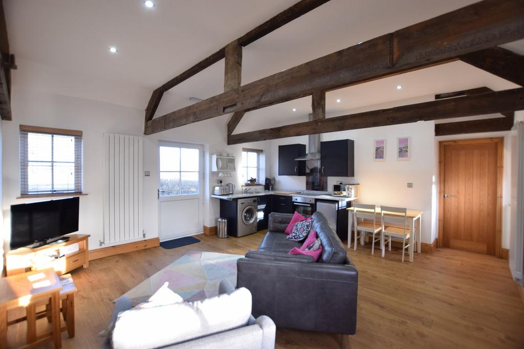 Living Room/Kitchen