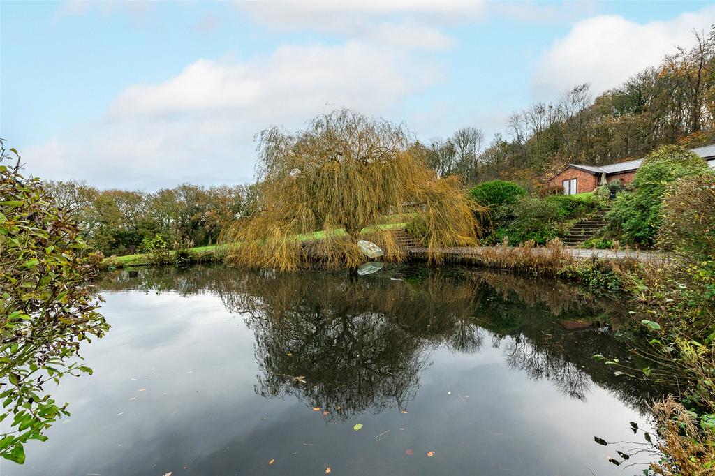 Pond