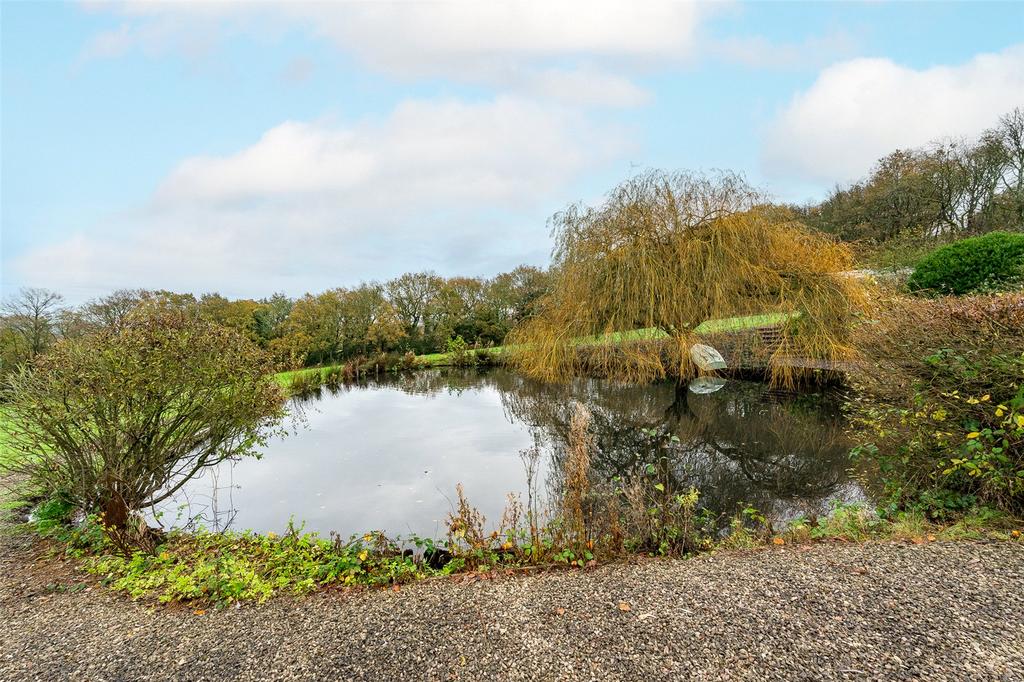 Pond