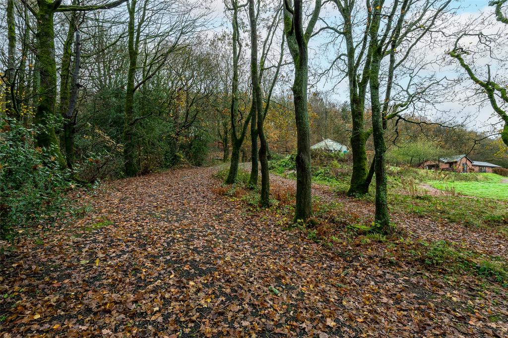 Grounds