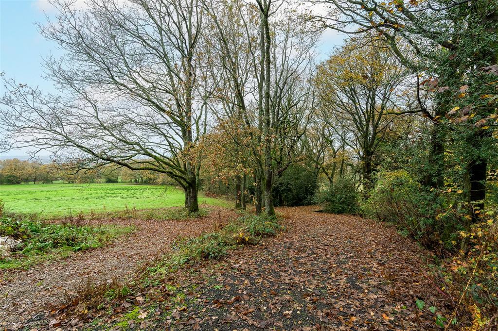 Grounds