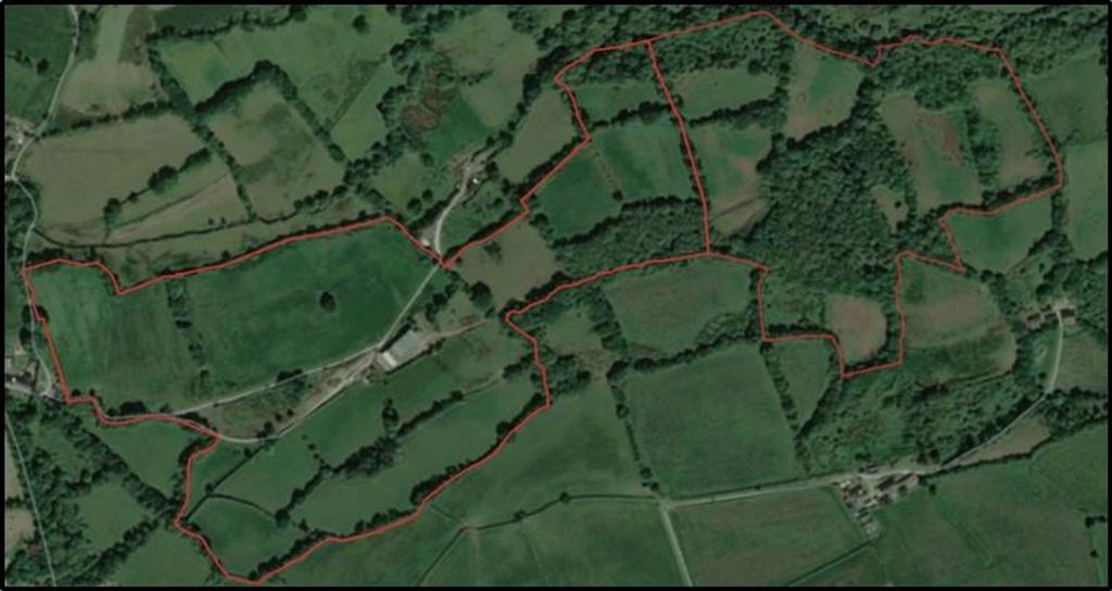 Land Plan