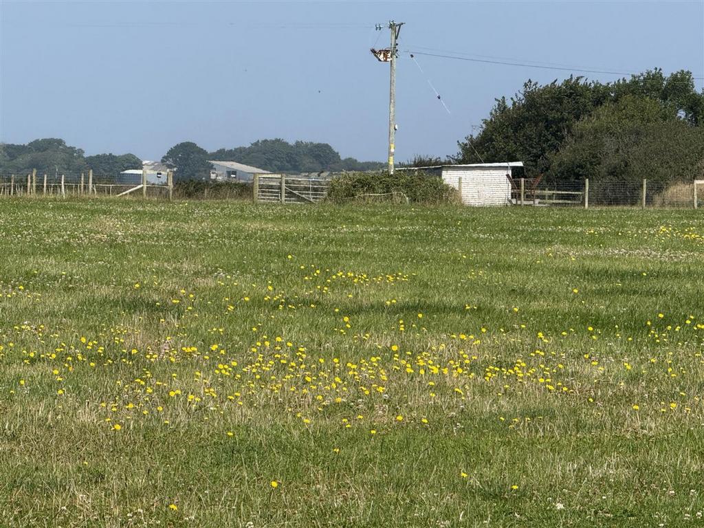 Img 4847.jpg
