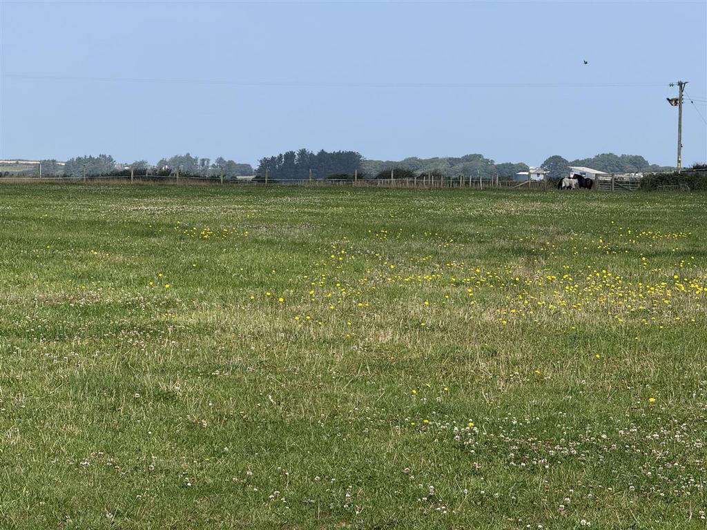 Img 4839.jpg