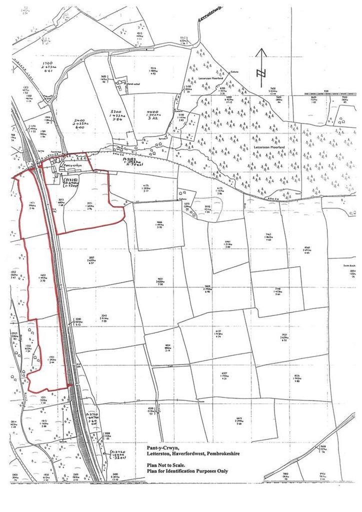Pant y Crwyn New A4 Plan16.6.25.jpg