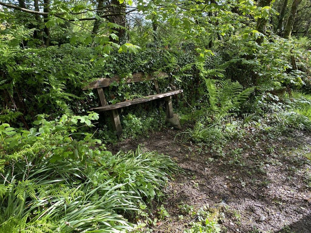 Img 1087.jpg