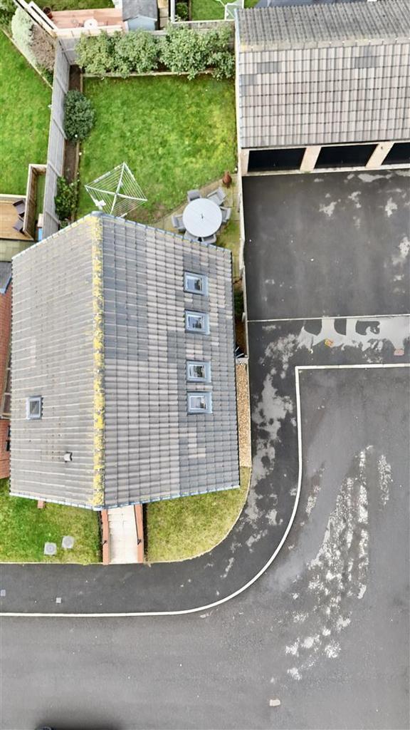 Birdseye Plot View