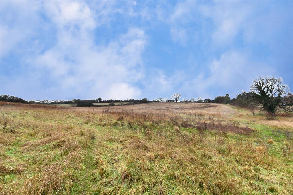 Field