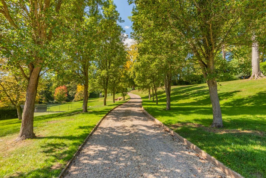 Driveway