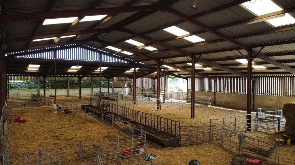 Livestock shed lean to