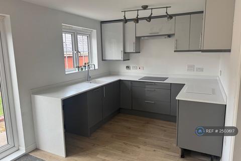 3 bedroom semi-detached house to rent, Unicorn Street, Exeter, EX2