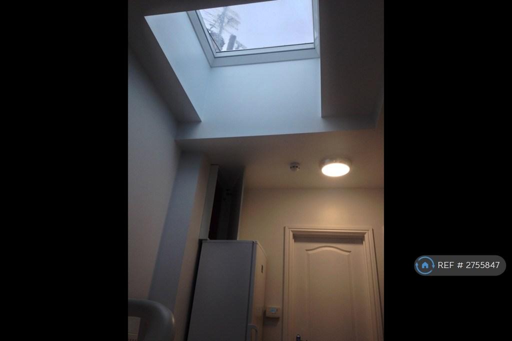 Skylight