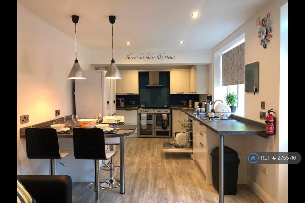Modern Contemporary Kitchen