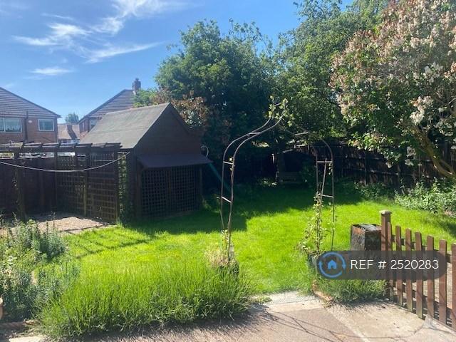 Back Garden