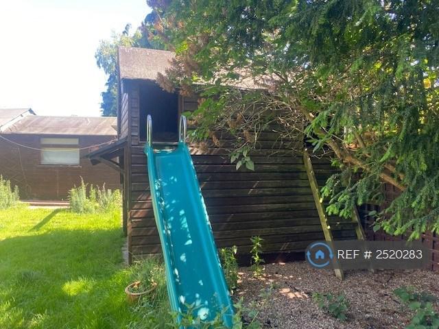 Back Garden
