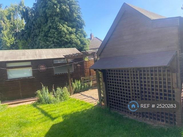 Back Garden