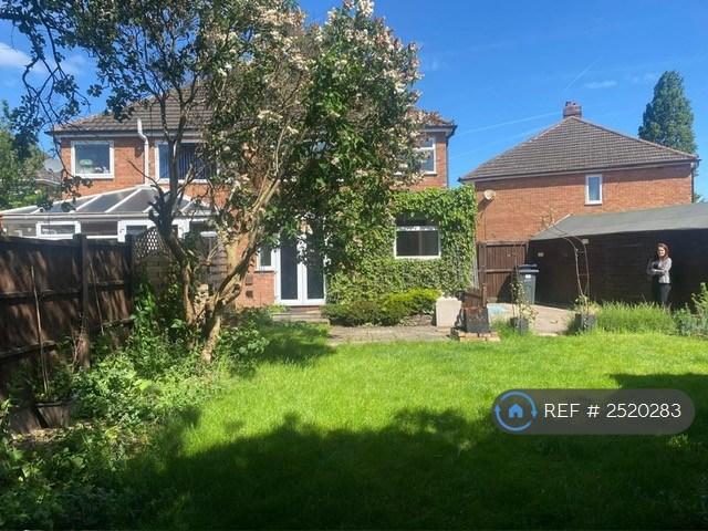 Back Garden